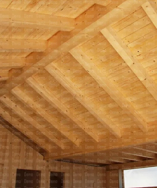 Holzbau & Haus